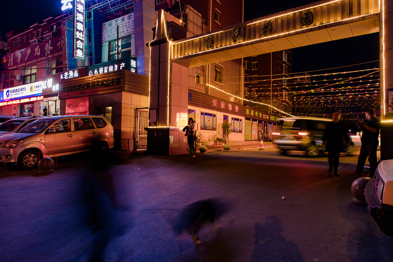 李有 夜光系列之四