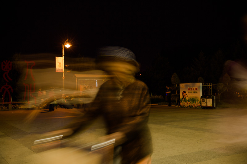 李莉 夜阑系列之一