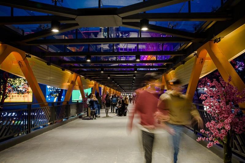 李莉 夜阑系列之三