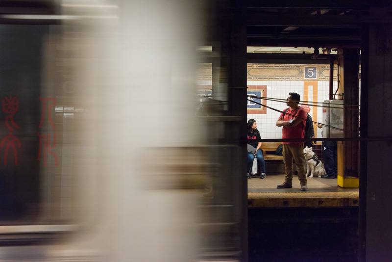 杨意明 百年孤独系列之二